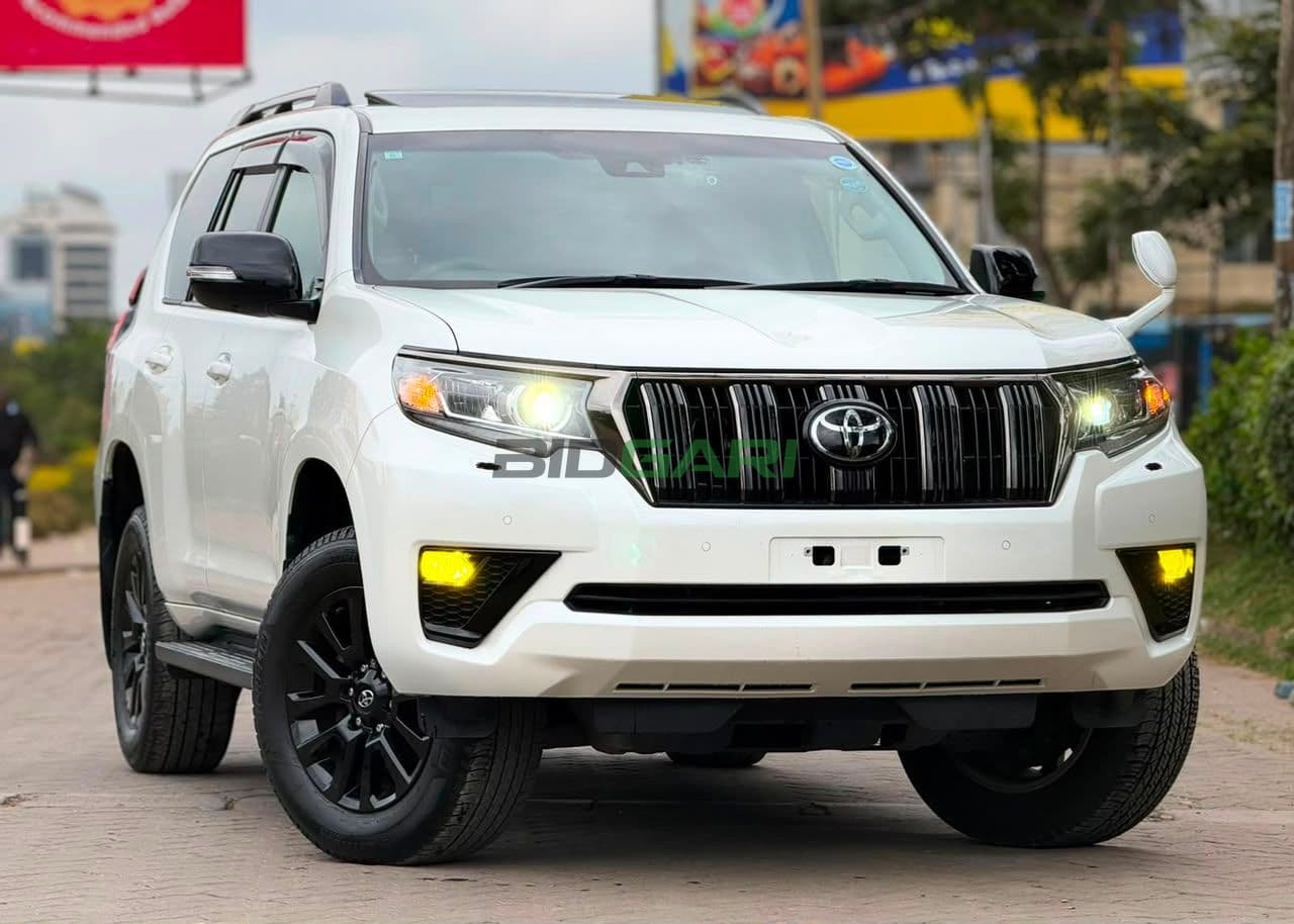 2019 Toyota Land Cruiser