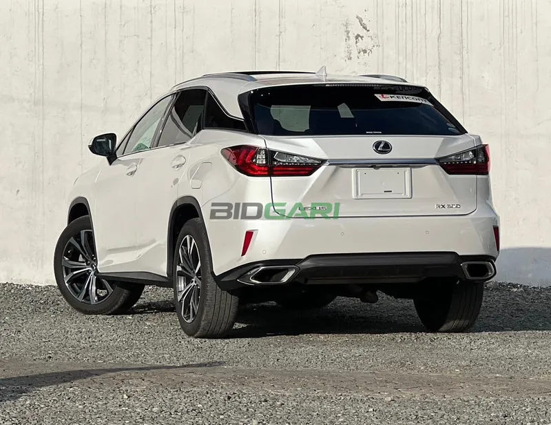 2019 Lexus RX300 2L Petrol SUV, photo 2