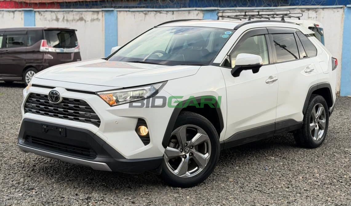 2019 Toyota RAV4
