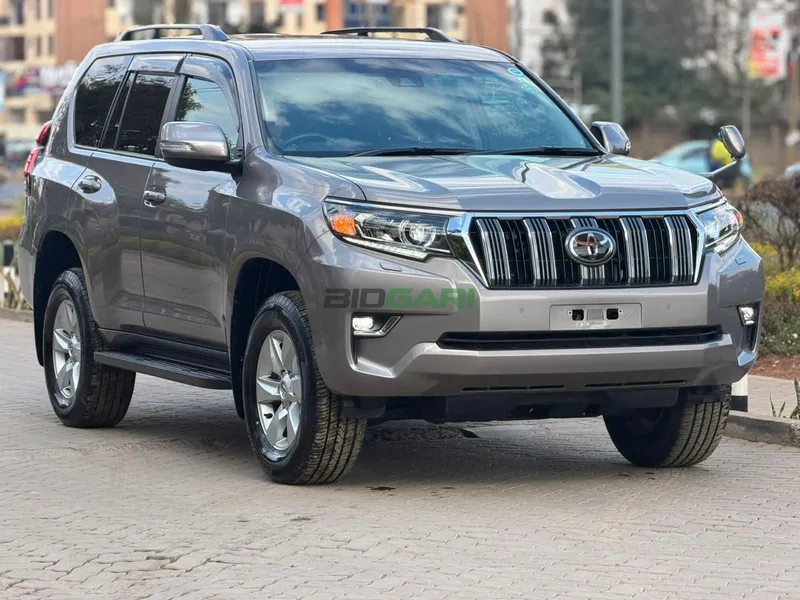 2019 Toyota Land Cruiser Prado TX