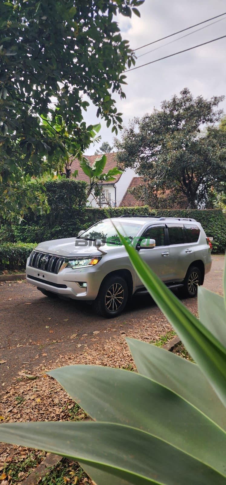 2019 Toyota Land Cruiser