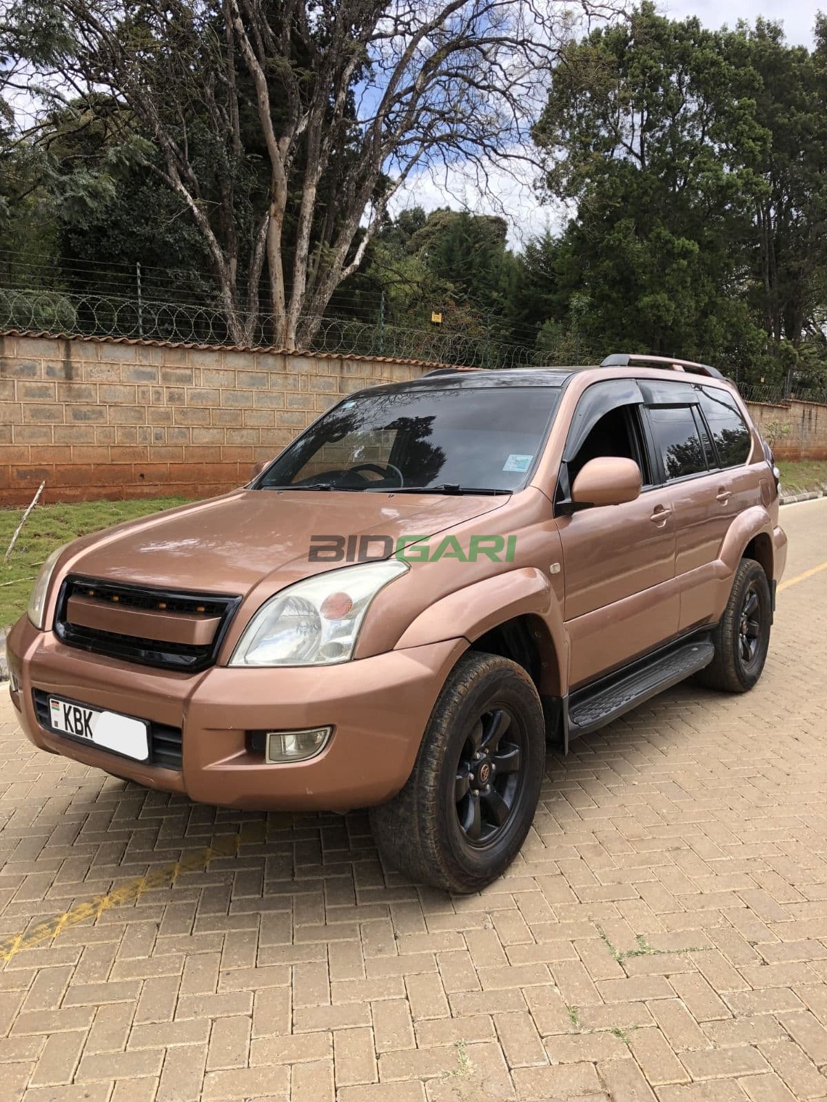 2006 Toyota Land Cruiser