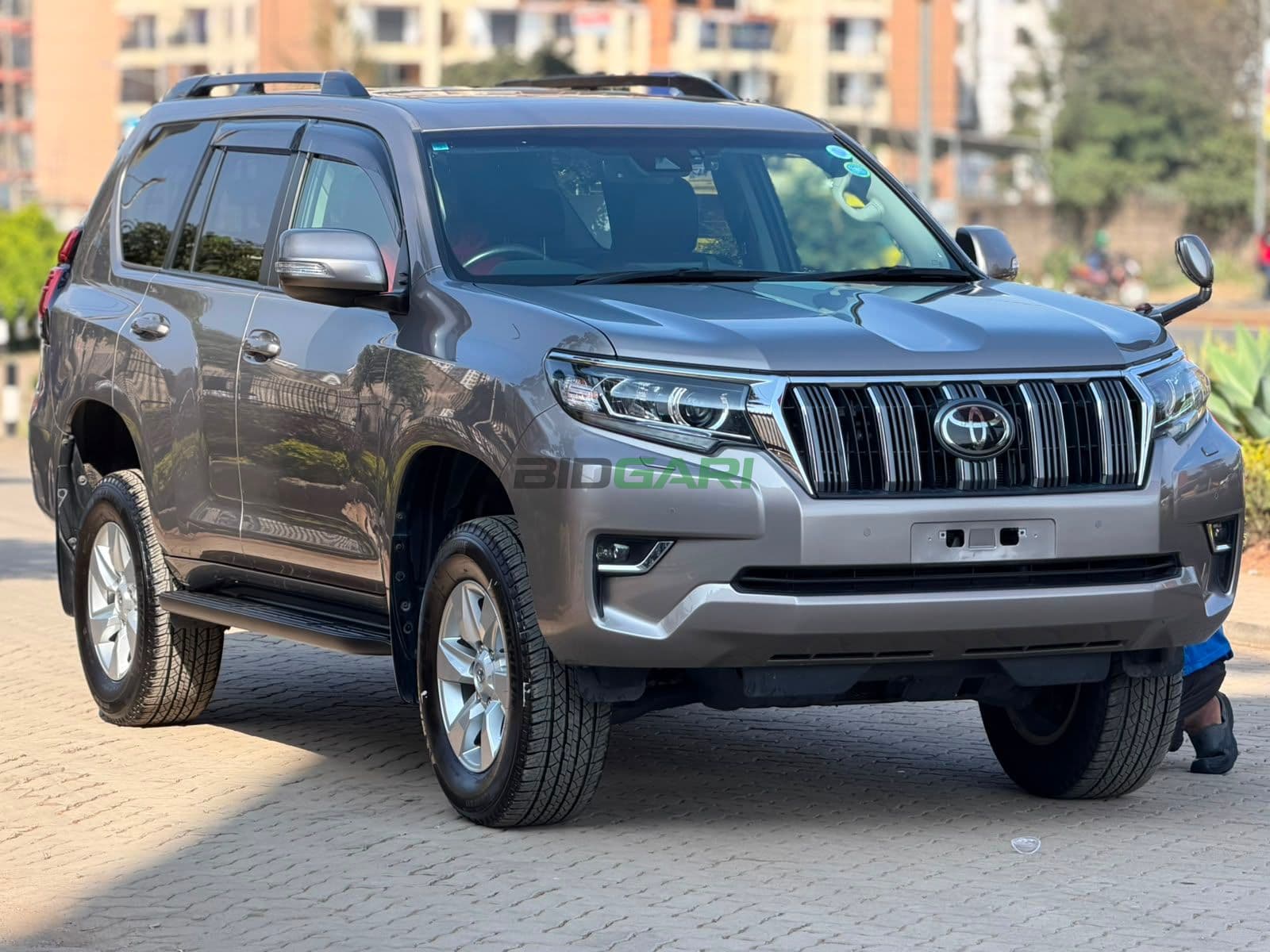 2019 Toyota Land Cruiser