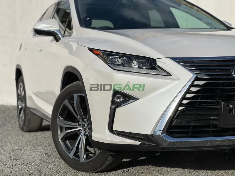2019 Lexus RX300 2L Petrol SUV, photo 2