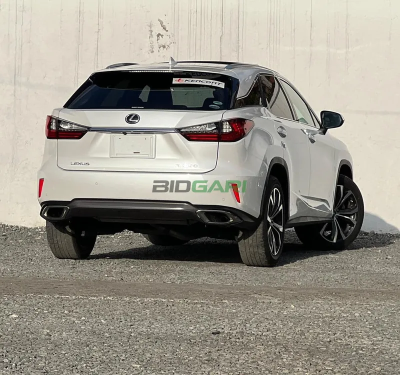 2019 Lexus RX300 2L Petrol SUV, photo 3