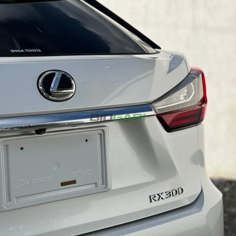 2019 Lexus RX300 2L Petrol SUV, photo 6