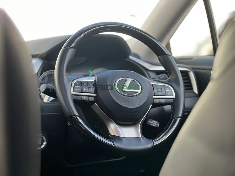 2019 Lexus RX300 2L Petrol SUV, photo 15