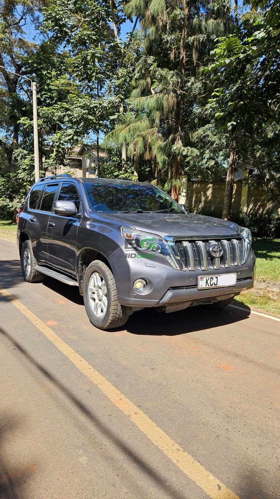 2011 Toyota Land Cruiser
