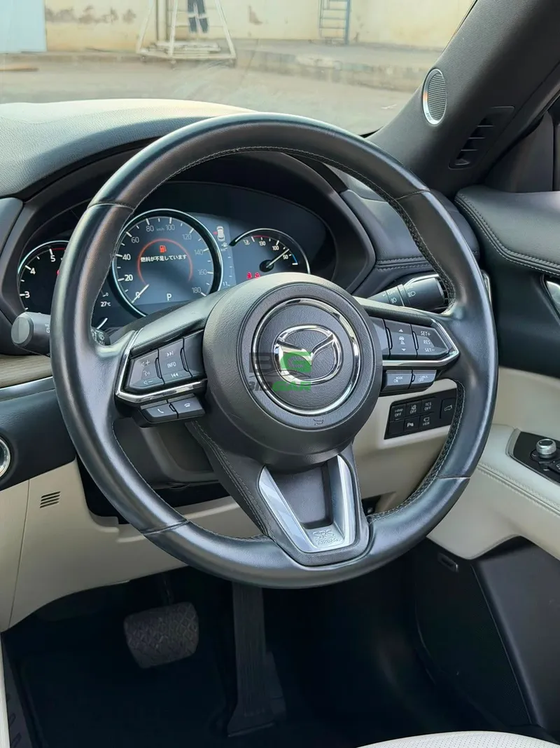 2019 Mazda CX-8 XDL PREMIUM EXCLUSIVE 2.2L Diesel SUV, photo 14