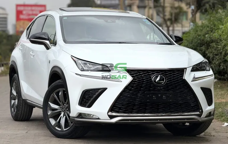 2019 Lexus NX300 F SPORT