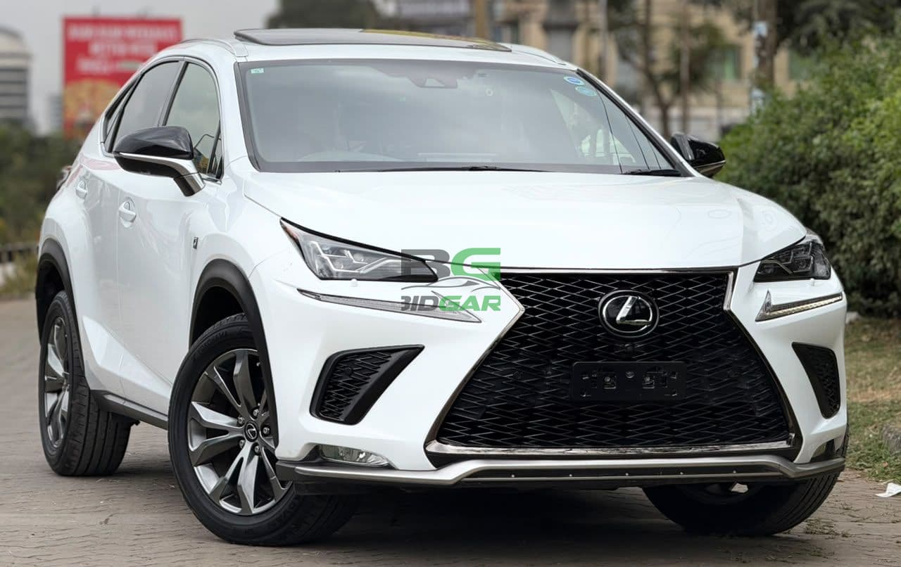 2019 Lexus NX300