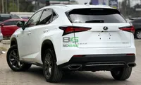 2019 Lexus NX300 F SPORT 2L Petrol SUV, photo 5