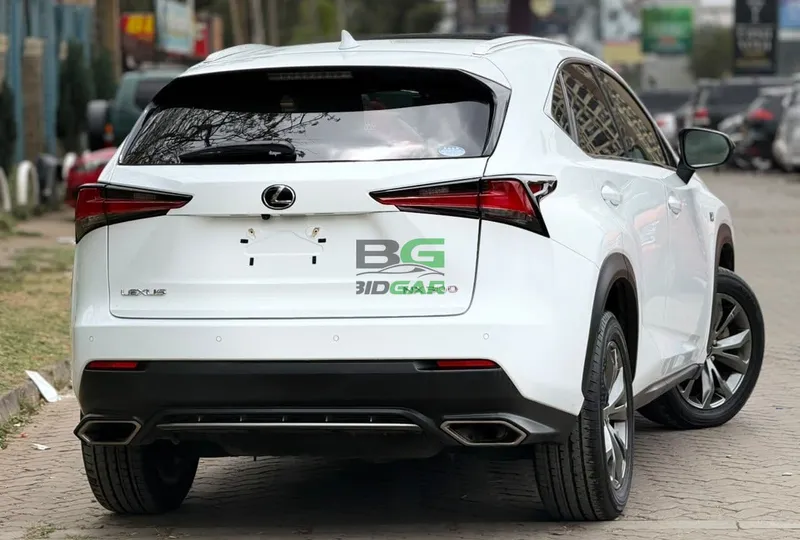 2019 Lexus NX300 F SPORT 2L Petrol SUV, photo 3