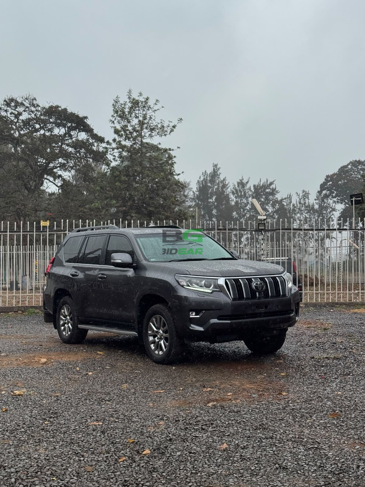 2020 Toyota Land Cruiser
