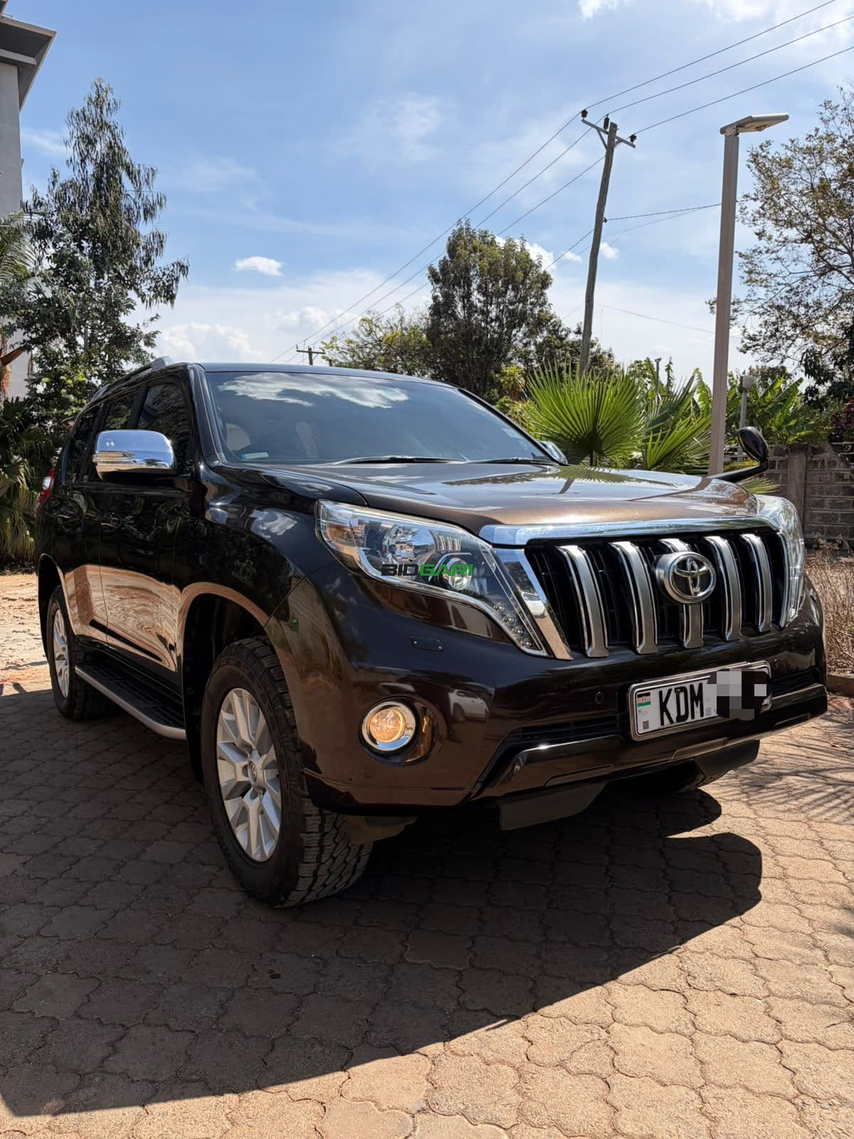 2017 Toyota Land Cruiser